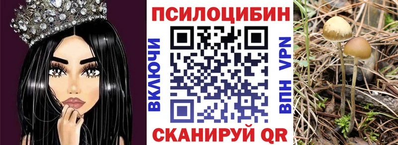Купить закладки  Ковдор  Псилоцибиновые грибы Psilocybine cubensis 